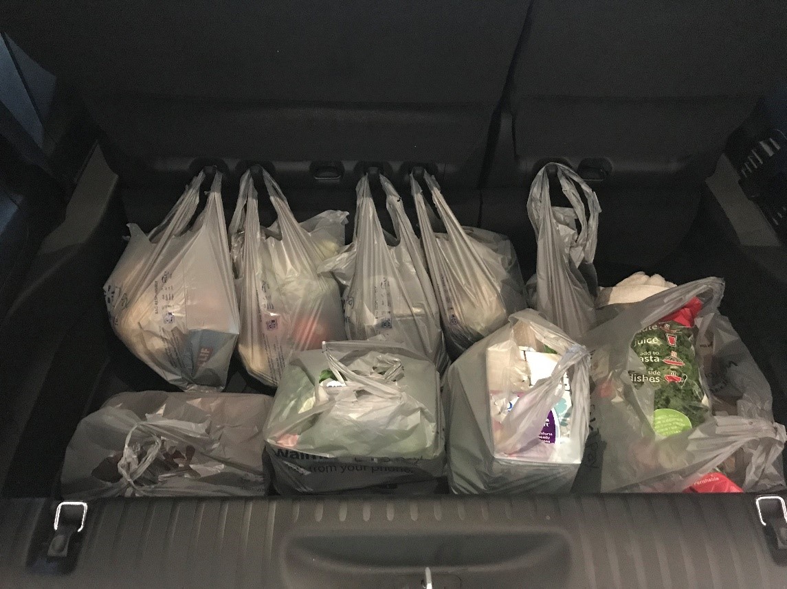 Minivan grocery bags